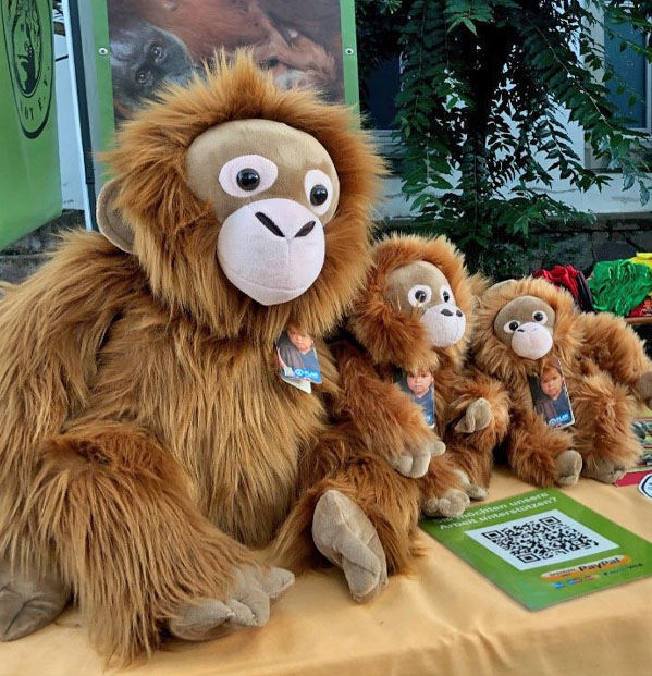 Drei verschieden große Orang-Utan-Plüschtiere sitzen auf einem Tisch. Darauf liegen außerdem T-Shirts und Informationsmaterialien. Im Hintergrund hängen Plakate.