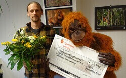 Markus Menke und jemand in einem menschengroßen Orang-Utan-Kostüm halten einen großen Spendenscheck und einen Blumenstrauß.
