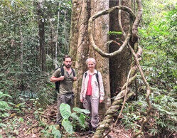 Julia Cissewski und Wanja Mues stehen vor einem großen Baum im Regenwald auf Borneo.