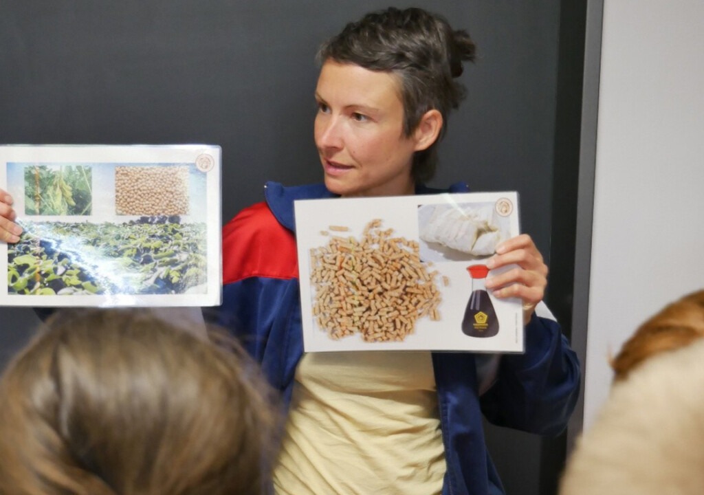 Die Umweltbildnerin zeigt den Schülern Bilder mit Pflanzen aus Regenwaldgebietenn die wir alltäglich nutzen.