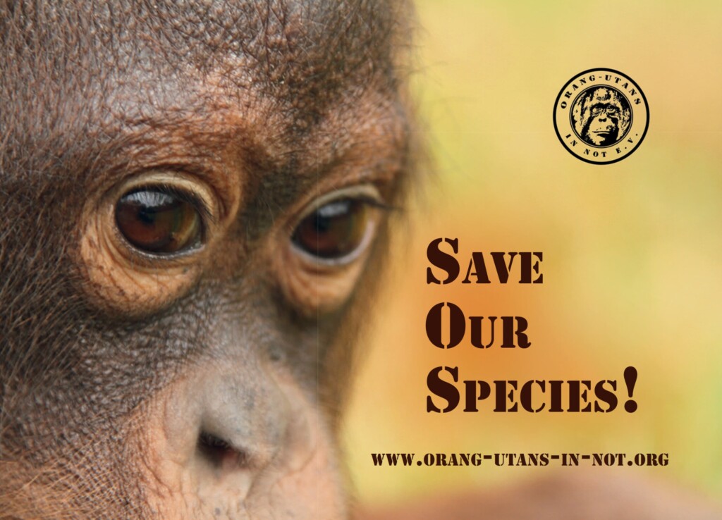 Das Motiv des ersten Stickers (rechteckig): Die linke Hälfte wird von dem Gesicht eines Orang-Utans eingenommen und auf der rechten Seite kann man „Save our species!“ lesen, wobei die Anfangsbuchstaben der drei Wörter ein SOS ergeben.