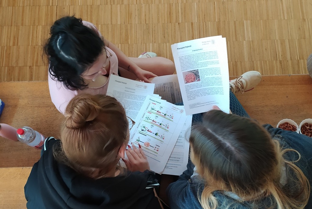 Drei Schülerinnen lesen Material zum Thema Palmöl.