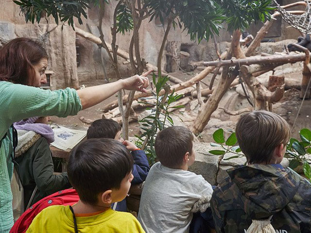 Vor der Gorilla-Anlage stehend zeigt die Umweltbildnerin einer Gruppe von Kindern die Tiere und erklärt deren Verhalten.