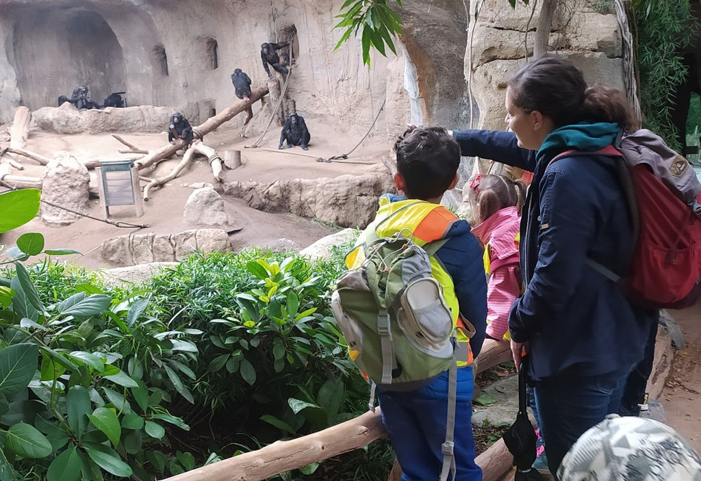 Eine Frau und zwei Kinder beobachten Schimpansen in einem Gehege.
