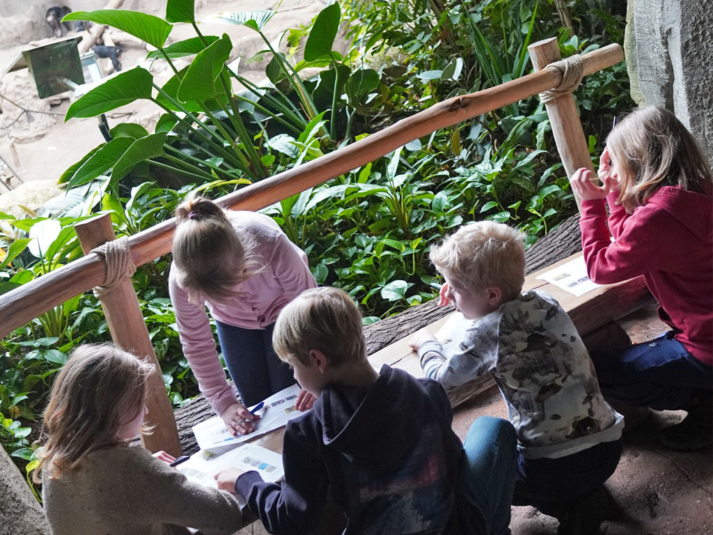 Fünf Kinder sitzen gemeinsam an einer Bank im Pogoland des Zoo Leipzig vor verschiedenen Lehr- und Infomaterialien.