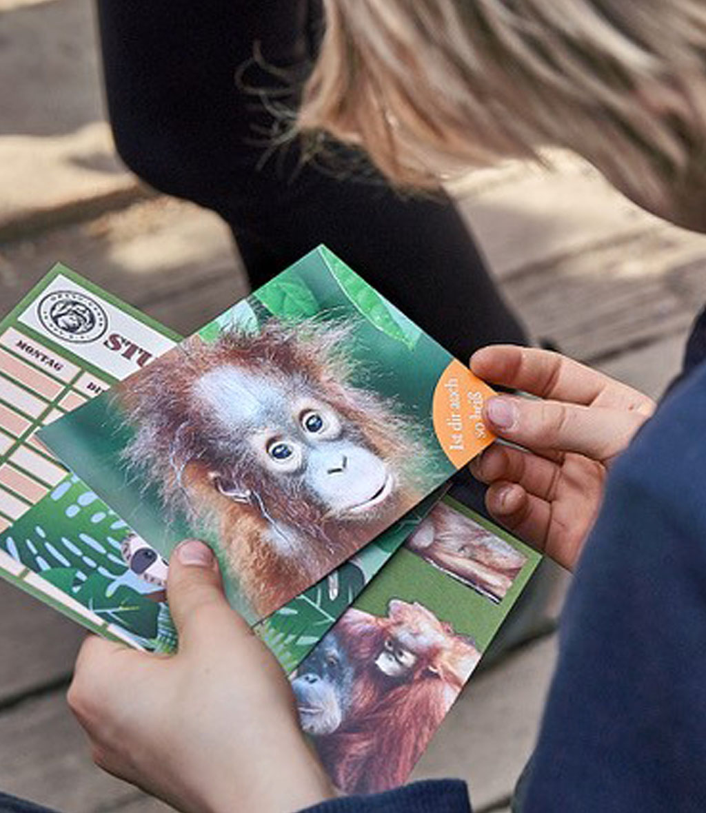 Kind hält eine Postkarte mit einem Orang-Utan-Kind darauf und andere Printmedien in der Hand.