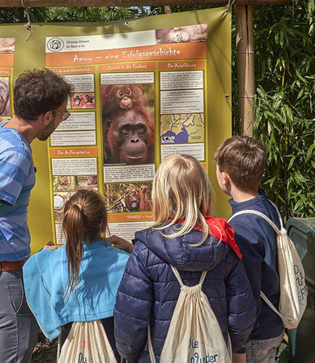Drei Kinder und eine erwachsene Person stehen vor einem Plakat, welches über Orang-Utans informiert.