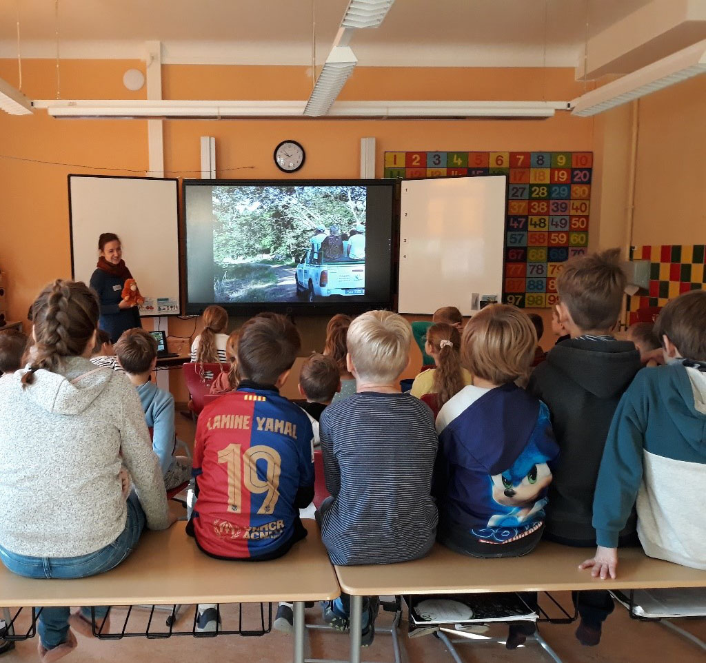 In einem Klassenzimmer sitzen viele Kinder auf Tischen und Stühlen. An der digitalen Tafel läuft eine Präsentation. Die Umweltbildnerin steht daneben und hält einen Plüsch-Orang-Utan in den Händen.