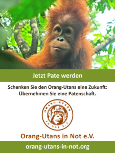 Vorschau der Freianzeige: Oben ist ein Porträt eines jungen Orang-Utans abgebildet. Darunter steht „Jetzt Pate werden“; „Schenken Sie den Orang-Utans eine Zukunft: Übernehmen Sie eine Patenschaft“. Darunter sind das Vereinslogo, der Vereinsname und die Webadresse abgebildet.