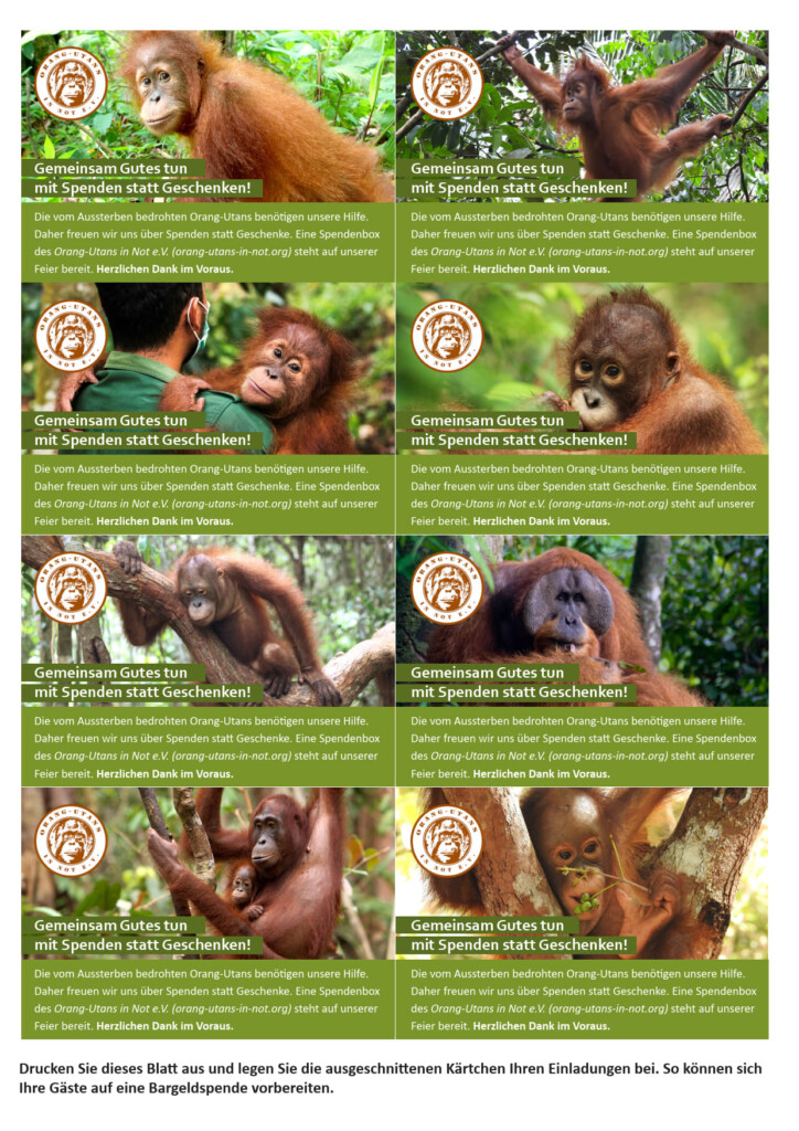 Vorschaubild unserer Informationskärtchen. Auf jedem Kärtchen ist ein Orang-Utan und das Vereinsloge abgebildet. In dem Bild steht: "Gemeinsam Gutes tun mit Spenden statt Geschenken!" Darunter steht: "Die vom Aussterben bedrohten Orang-Utans benötigen unsere Hilfe. Daher freuen wir uns über Spenden statt Geschenke. Eine Spendenbox des Orang-Utans in Not e.V. (orang-utans-in-not.org) steht auf unserer Feier bereit. Herzlichen Dank im Voraus."