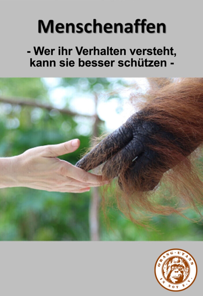 Auf einer Präsentationsfolie steht der Titel des Moduls „Menschenaffen – Wer ihr Verhalten versteht, kann sie besser schützen“. Unter dem Titel befindet sich ein Bild: eine Menschenhand, die eine Orang-Utan-Hand berührt.