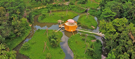 Drone picture of the Orangutan Haven on Sumatra, including the Orangutan Haven logo.