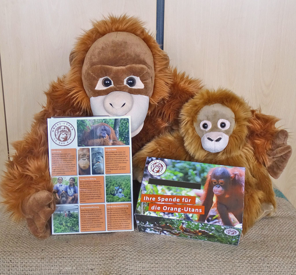 Ein großer und ein kleiner Plüsch-Orang-Utan sitzen nebeneinander. In ihren Armen halten sie unseren Vereinsflyer und unsere Spendenbox.