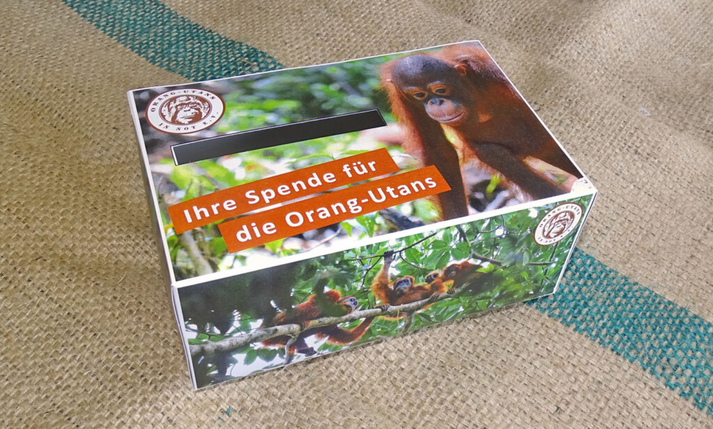 Bild der Orang-Utans in Not Spendenbox. Auf jeder Seite der Box ist ein Orang-Utan-Foto abgebildet. Auf der Oberseite steht: "Ihre Spende für die Orang-Utans".