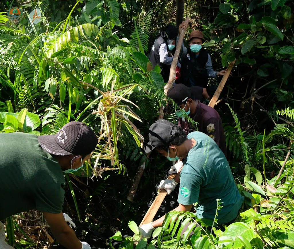 Sechs Mitarbeiter stehen im Wald und bereiten das Tragenetz für den Transport der Orang-Utan-Mutter vor.